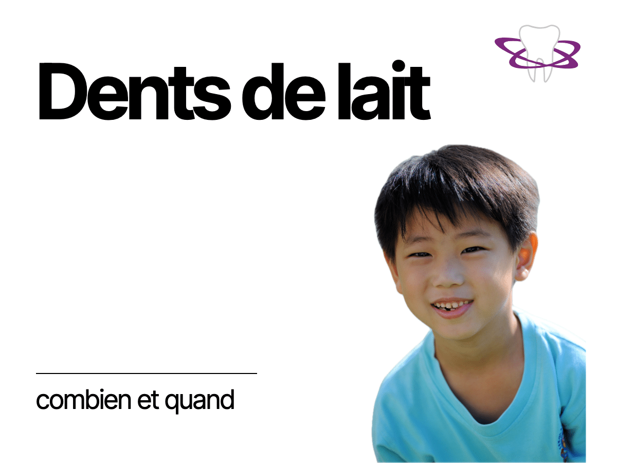 Dents de lait : combien, quand elles poussent et tombent - Cabinet Dentaire Bontemps